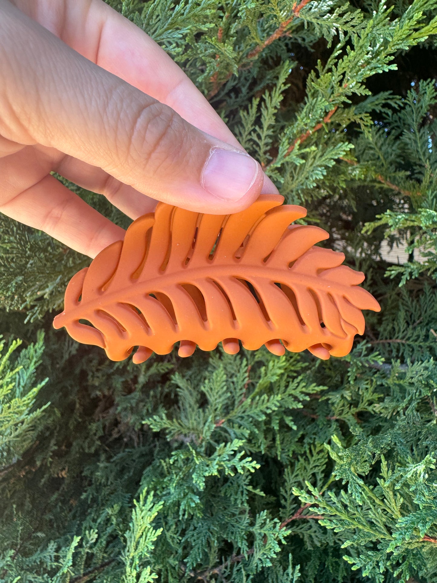 Leaf Clips