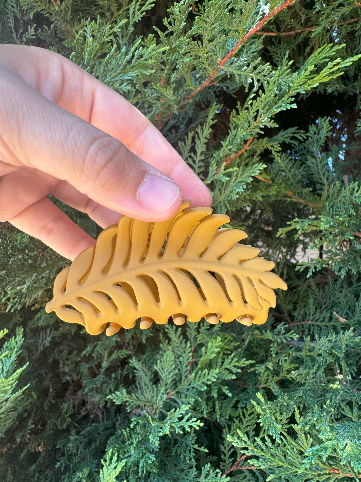 Leaf Clips