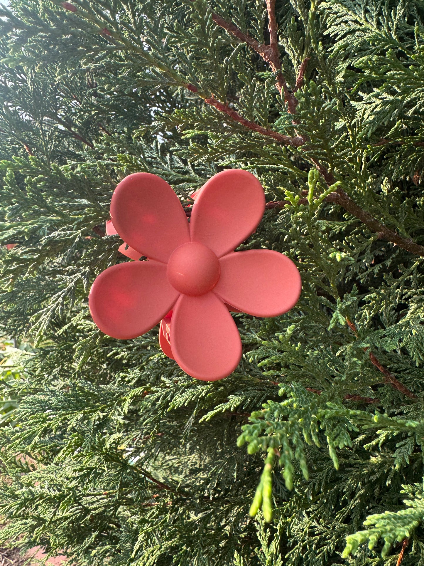 Tan Red