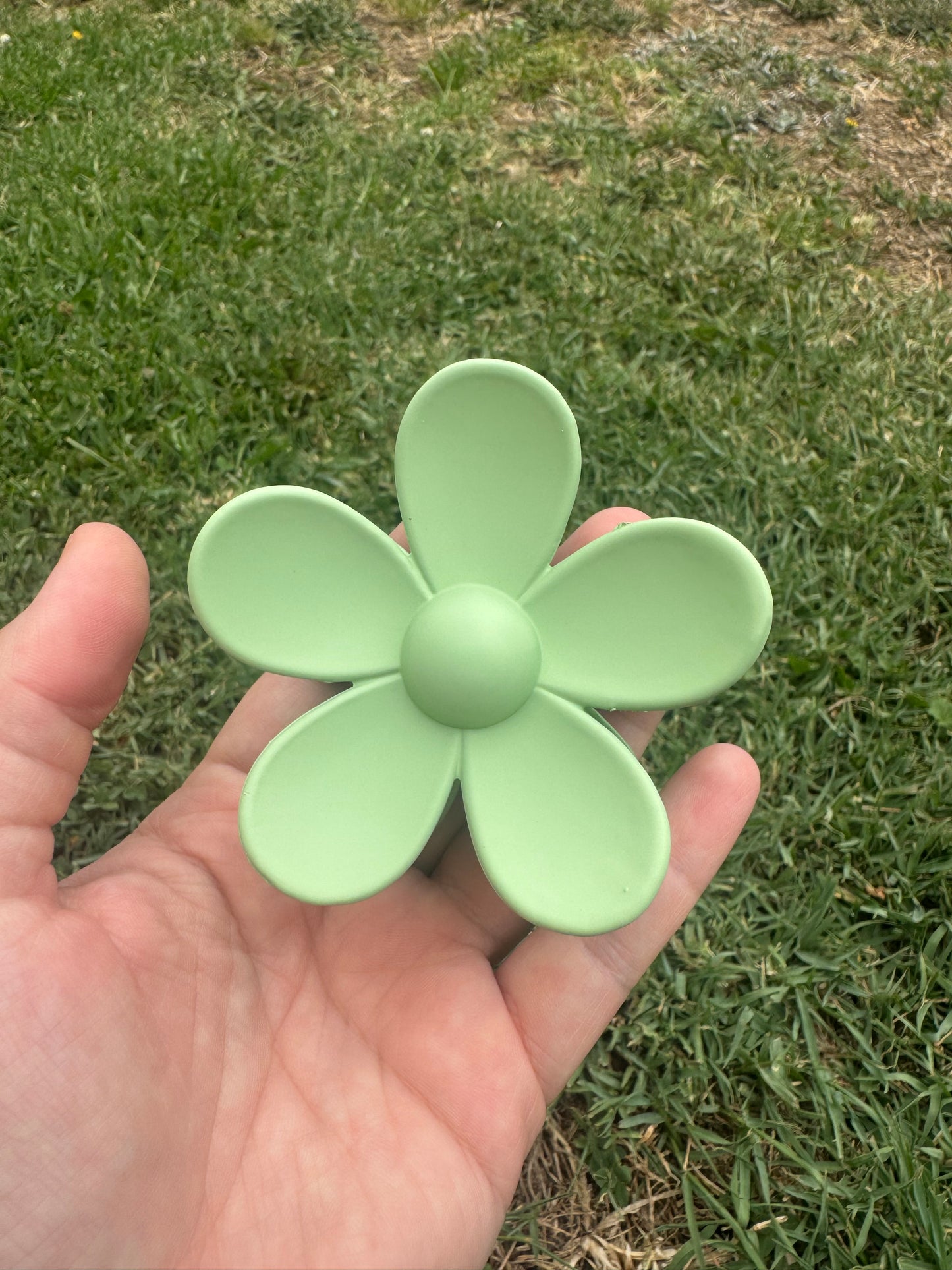 Green Collection