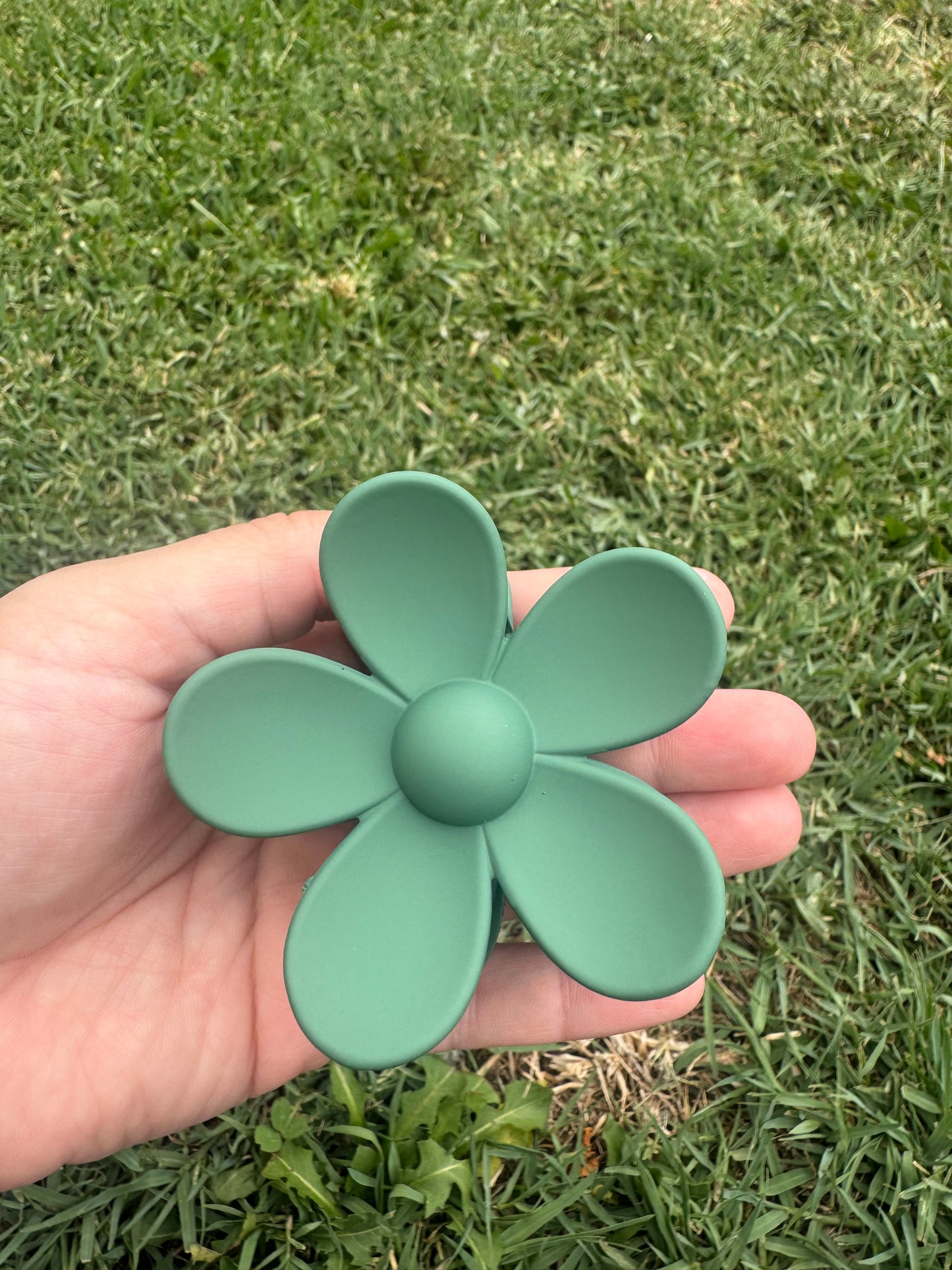 Green Collection