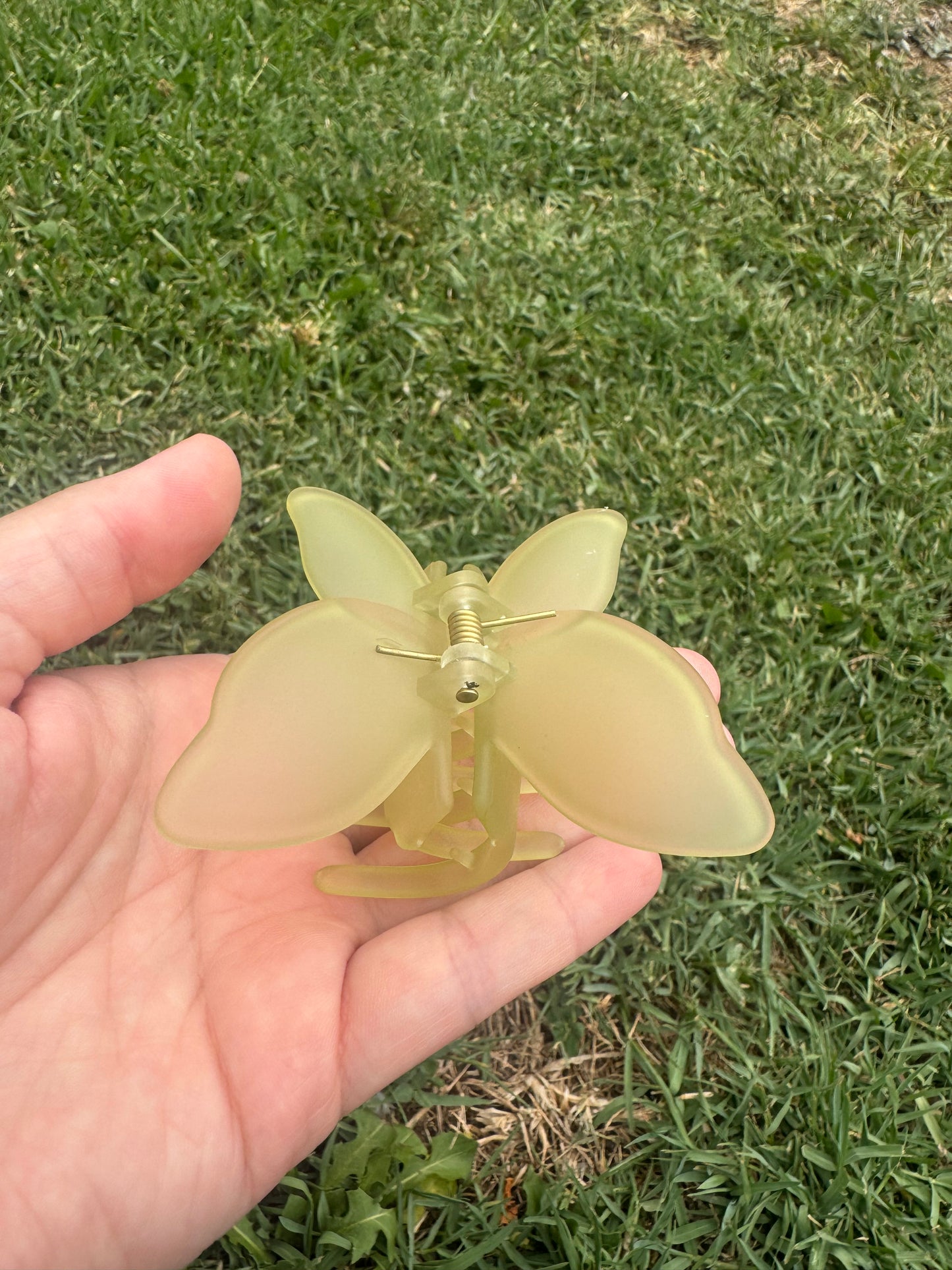 Green Collection