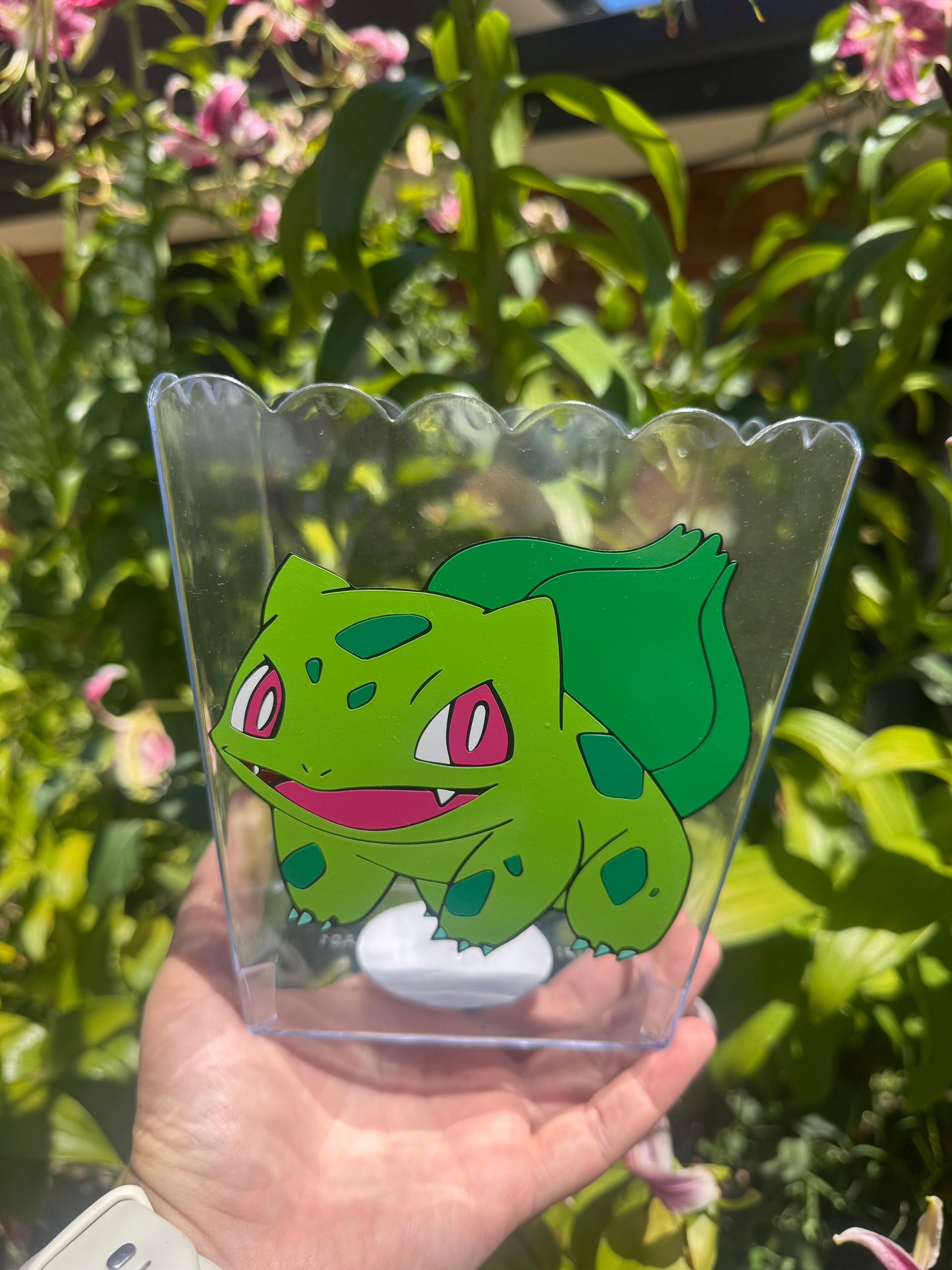 Snack Containers