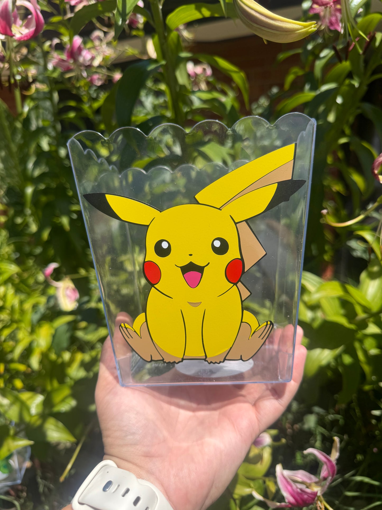 Snack Containers