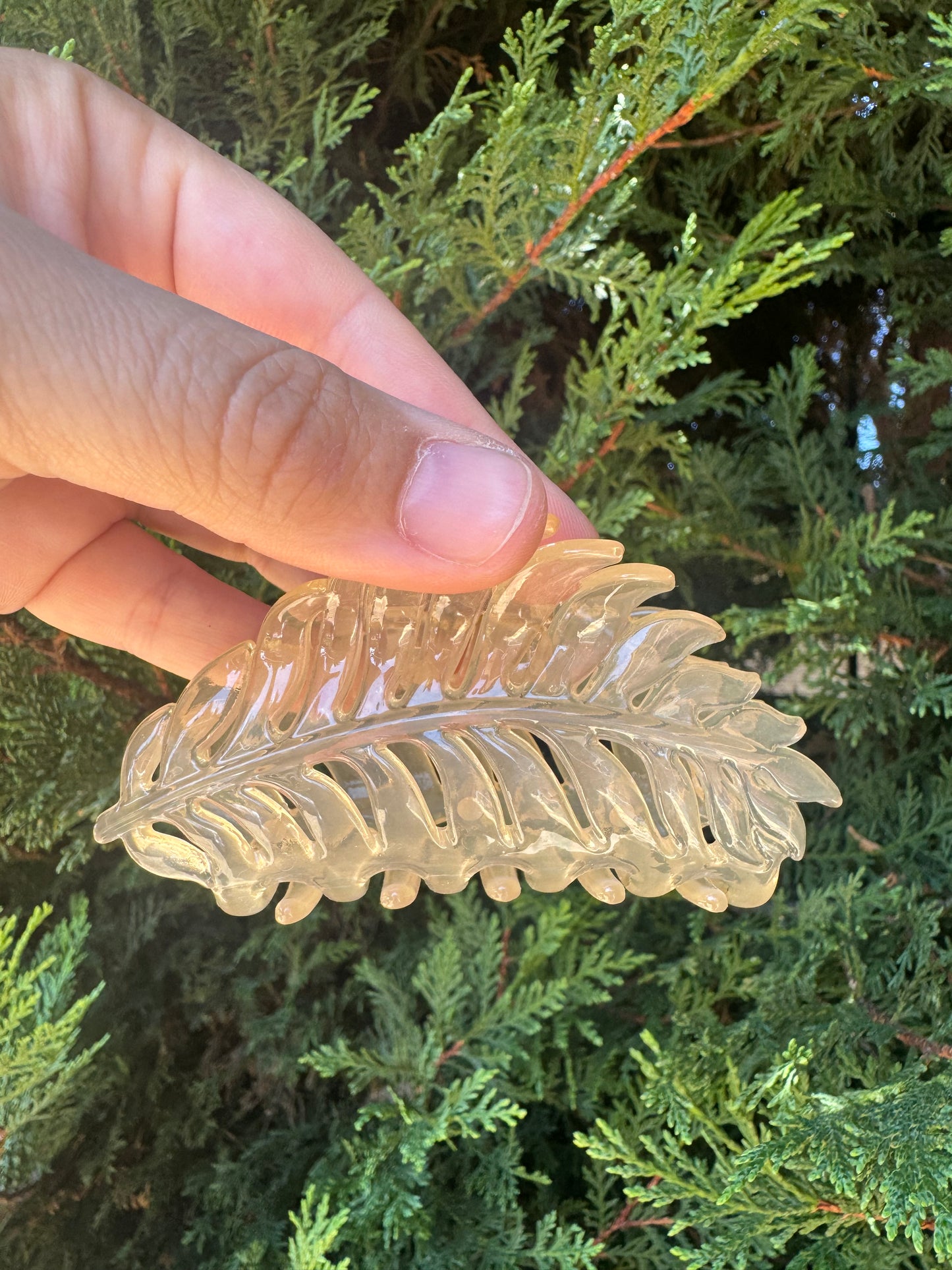 Leaf Clips