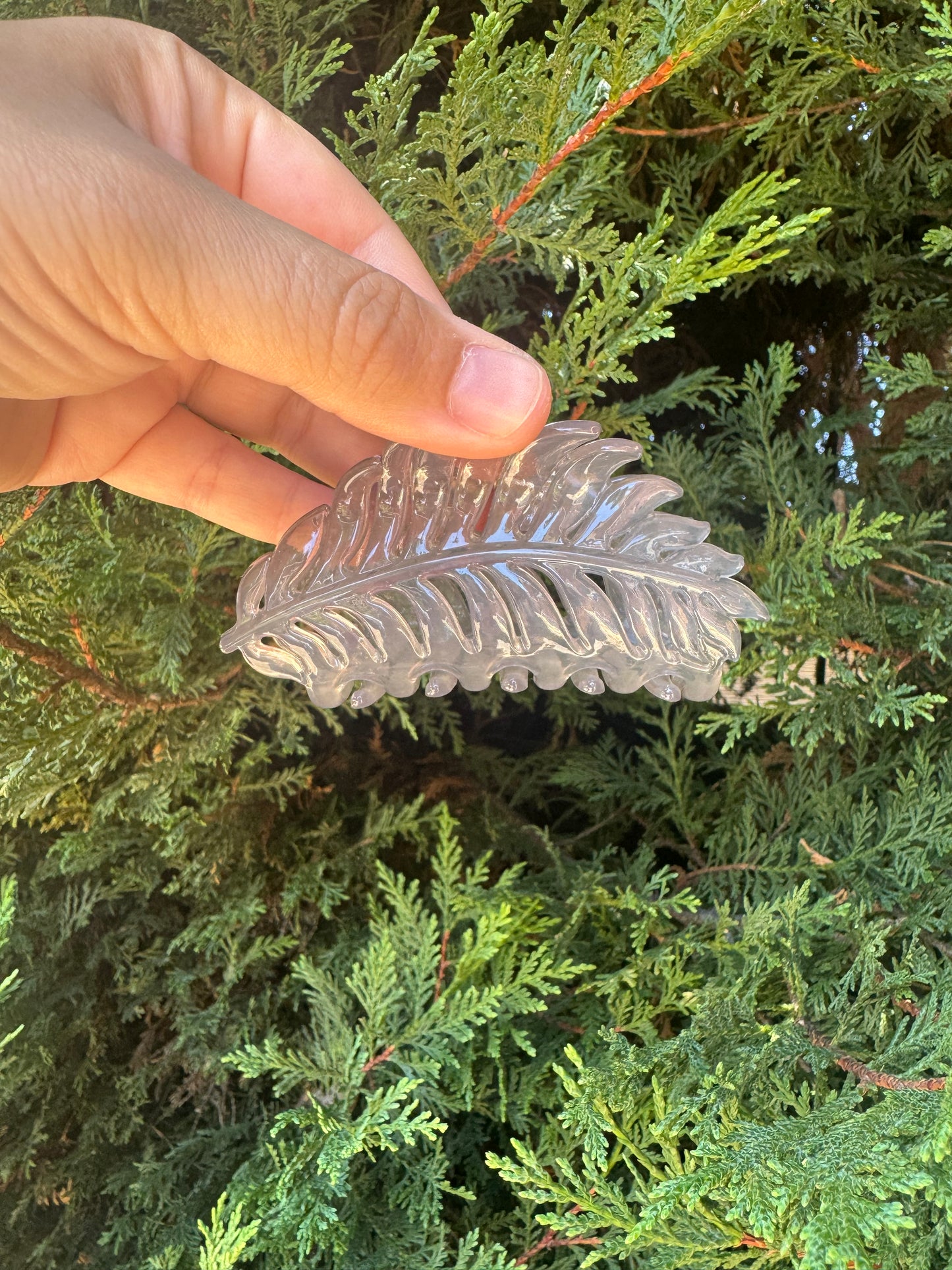 Leaf Clips
