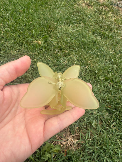 Green Collection